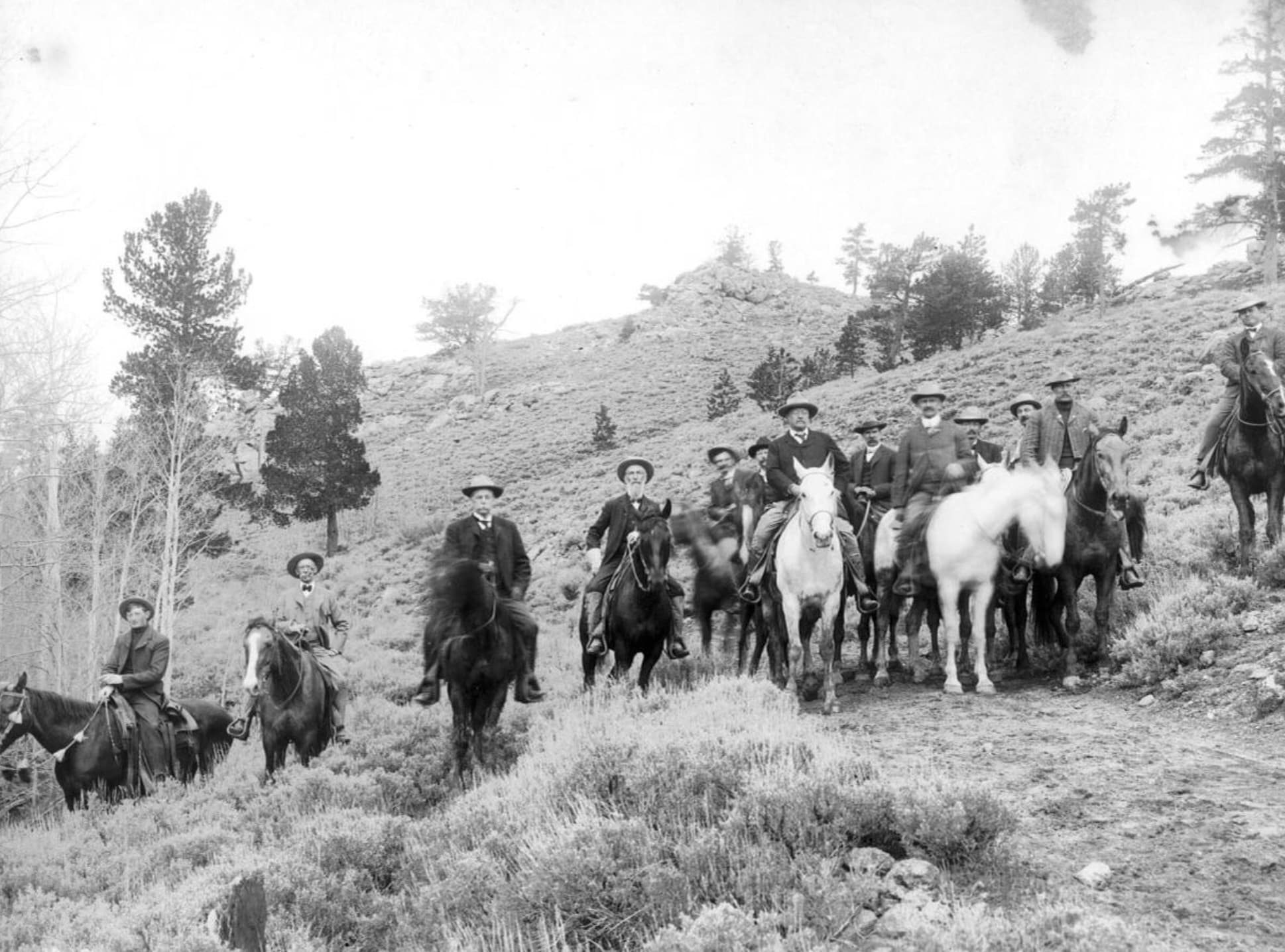 theodore roosevelt wyoming horse